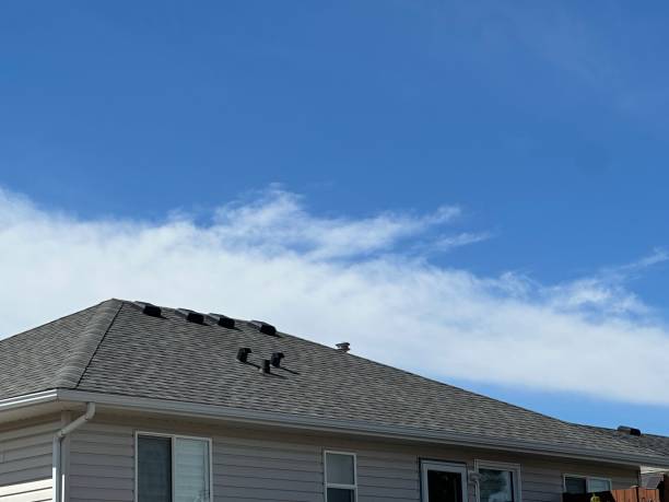 Best Roofing for New Construction  in Berwyn Heights, MD